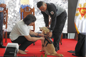 VP Sara honors heroism of rescue dog in Davao Oro landslide