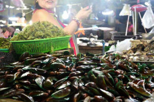 Red tide still up in Surigao Sur, Norte towns: BFAR-13