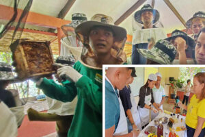 Normin youth leaders engage in stingless beekeeping, processing